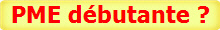 PME d�butante ? assistance conseil accompagnement � la r�ponse