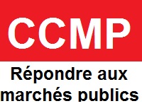 CCMP rapport activite 2010