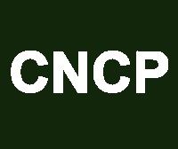 CNCP et OECP dans la commande publique